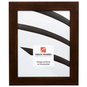 Craig Frames Bauhaus 125, 1.25 Inch Wide Modern Aged Copper Picture Frame - Picture 1 of 9