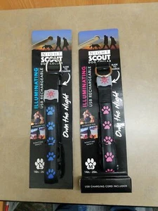 Night Scout Dog Collar - Picture 1 of 2