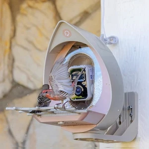Peck Perk Smart Bird Feeder Camera Solar Powered NEW in Box Ships FREE!! - Picture 1 of 5