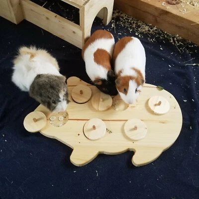  Meerschweinchen Kleintier Intelligenz Spielzeug Beschäftigung Futter 80045 - Bild 1 von 4