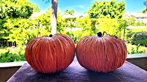 Pair of Straw Pumpkins Fall Autumn Decorations Rustic Thanksgiving Halloween - Picture 1 of 8