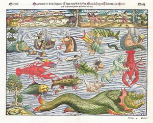 12882. Dekor Poster. Wandkunst. Raum Vintage Innenarchitektur. Kreaturen des Ozeans - Bild 1 von 1