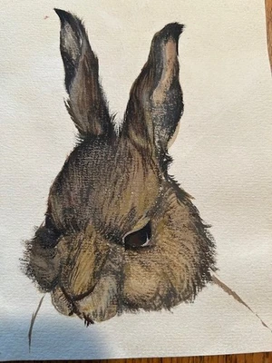Boceto de acuarela original vintage de conejo, sin marco Foto 1 de 2
