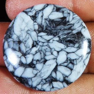 49.20 CT 29.00x5 mm Pinolith Jasper Cabochon Untreated Loose Gemstone WR381 - Picture 1 of 7
