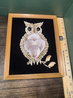 Cuadro de 8”x10” concha de búho arte raro de colección. Fondo de felpa negra Foto 1 de 4
