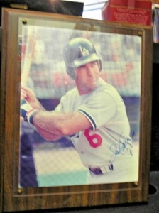 Steve Garvey 8x10 Autograph Los Angeles  Dodgers w/COA & Plaque - Picture 1 of 2