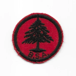 Pine Tree Black Back 1933-1940 Felt Patrol Medallion Boy Scouts of America PN - Picture 1 of 2