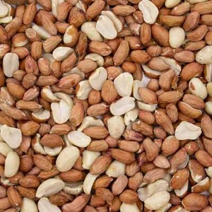 Wild Garden Bird Premium Standard Grade Whole Peanuts Nuts High Engery Food - Picture 1 of 2