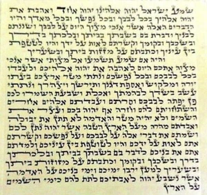 KLAF Pergamino 3" KOSHER Mezuzah Rollo Biblia Israel  - Imagen 1 de 1