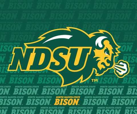 NORTH DAKOTA STATE 5"X 6" REPEAT DESIGN MAGNET-NDSU BISON CAR MAGNET-NEW 2016 Cover