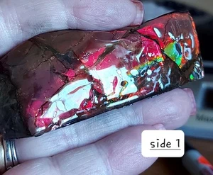 Ammolite Ammonite tabletop Display Color Both Sides 78.6x29x16mm #13535 - Picture 1 of 6