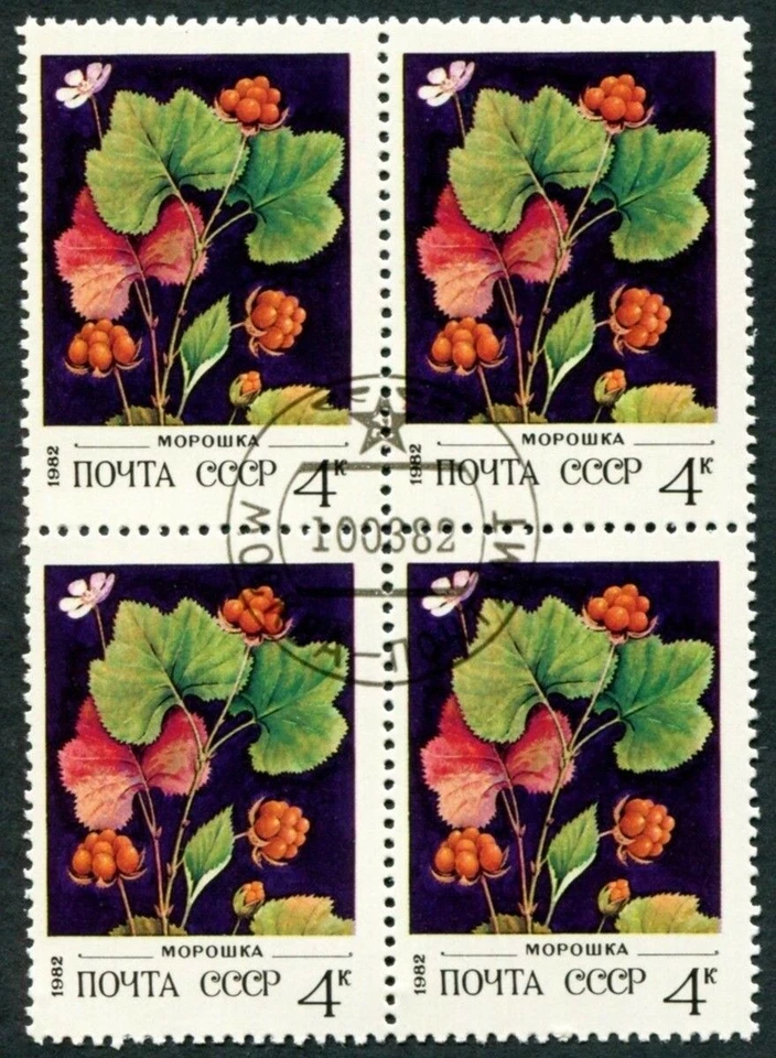 RUSSIA CCCP 1982 4k SG5210 used FG NH Wild Berries Blackberry a ##W38 - Image 1 of 1