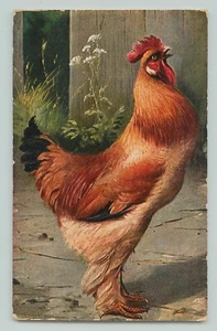POSTCARD Vintage Postcard German American Novelty Art Series No. 540 Rooster - Picture 1 of 2