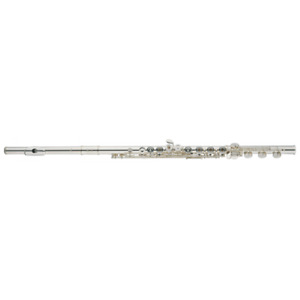 Altus TS Flute | B-Foot | Open-Keys | E-Mechanism | Offset-G | Brand New