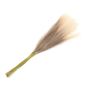 20Pcs Faux Pampas Grass21"/55cm Fake Pampas Grass Decor for Living Room Party... - Picture 1 of 7