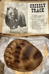 Grizzly Track - Cast For Display By Masterpiece Creations 1983 Grizzly Bears - Picture 1 of 3