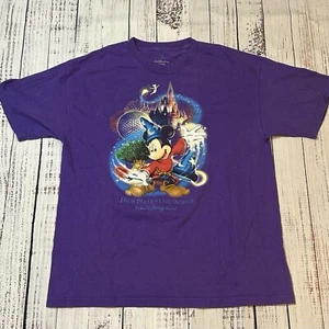 Hanes Walt Disney World Mickey Mouse Wizard Cotton Tee Four Parks One World Lg - Picture 1 of 8