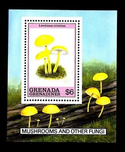 GRENADA - ISOLE GRENADINE - BF - 1989 - Flora. Funghi - Lentinus crinitus - Imagen 1 de 1
