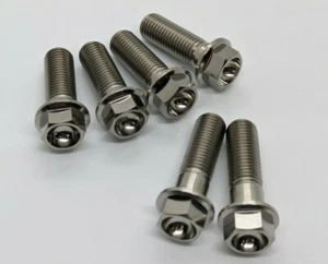 Yamaha XJR1300 Titanium brake caliper bolt kit 03 on Ti hex plain / drilled - Picture 1 of 8