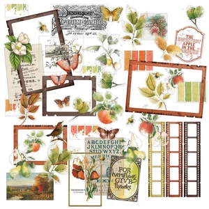 49 y Mercado HUERTO VINTAGE Acetato Surtido 48 Piezas Otoño Otoño - Imagen 1 de 2