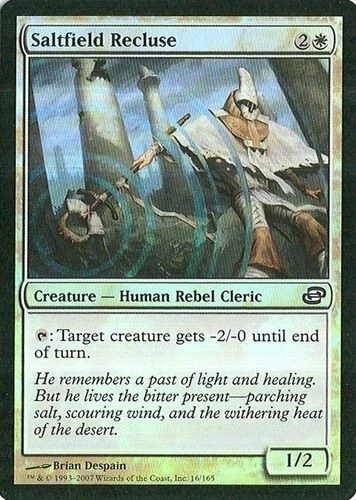 MTG - Planar Chaos - Saltfield Recluse - 2X - Foil - NM - Image 1 of 1