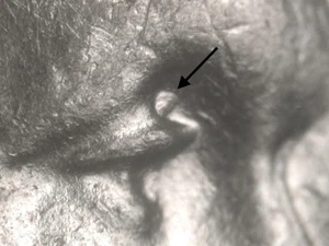 1943 P DDO-??? Strong Doubled Die Obverse BU Uncirculated Lincoln Cent #41 - Picture 1 of 3