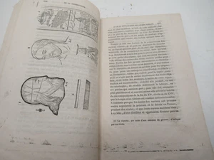 ABBE CHARLES CONSERVATION & RESTAURATION ANCIENS VITRAUX 1858 Illustré EPREUVES - Picture 1 of 5