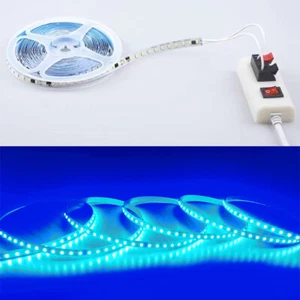 220V Blue LED Neon Strip Lights for Home Kitchen Closet, No Power Supply Needed - Picture 1 of 14