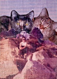 ACEO Original/OOAK/Vintage color family photocopies/Matte finish/"Cat Lady" - Picture 1 of 1