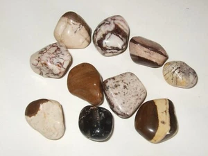 - Minerali Burattati Cristalloterapia - DIASPRO DESERTICO lotto 10 pz(A) - Picture 1 of 1