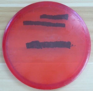 Innova Champion Shark PFN (Red, 168) - Midrange Disc Golf - Picture 1 of 6
