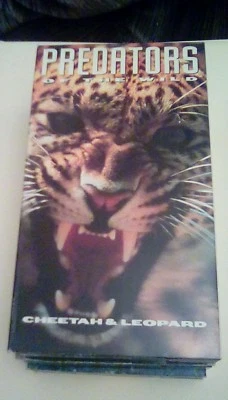 Predators of the Wild - Cheetah & Leopard (1992) VHS documentary kill scenes OOP - Image 1 of 2