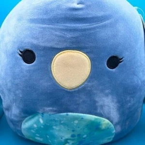 Neu mit Etikett Squishmallow Zipp der blaue Papagei 12 Zoll First To Market neuer Vogel - Bild 1 von 4
