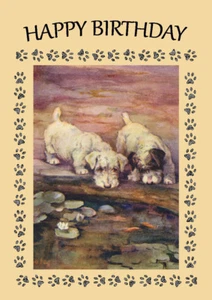 SEALYHAM TERRIER HUND AM TEICH GEBURTSTAGSGRUSS NOTIZKARTE - Bild 1 von 1