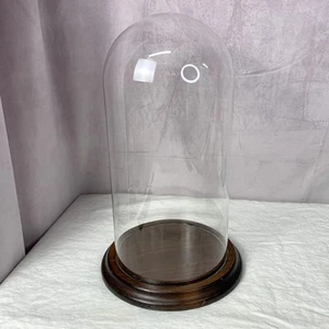 Große Glaskuppel Display Holzsockel 11" hoch - Bild 1 von 10