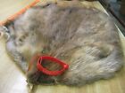 Tanned Beaver Hide Trapping Fur Coats Fur Craft  #00002155 Row A-4