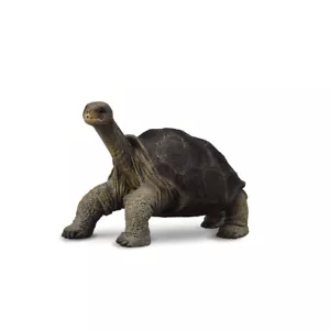 CollectA Pinta Island Tortoise (In memory of Lonesome George) - Imagen 1 de 1