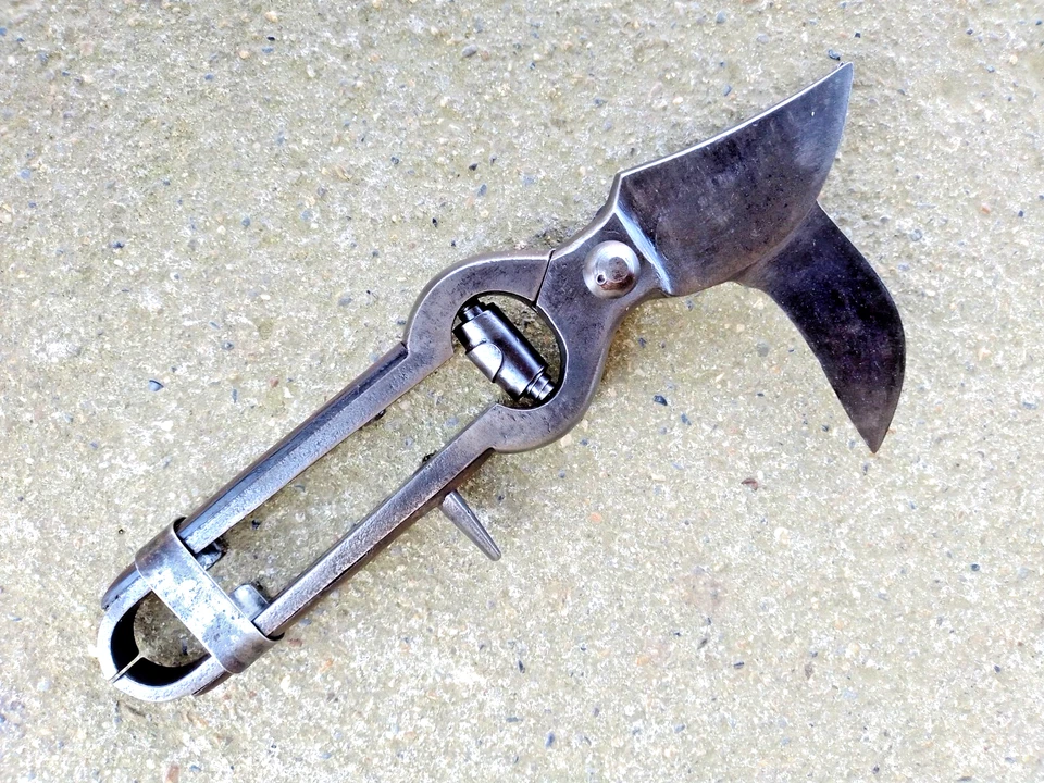 ANCIEN SECATEUR AVEC SERPE EN METAL FORGE - OUTIL DE VITICULTEUR VIGNE - - Photo 1/4