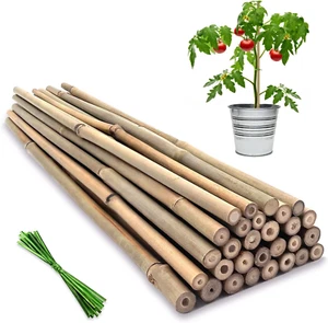 Plant Stakes,18 Inches Natural Garden Bamboo Sticks, 20Pcs Plant Support Stakes - Picture 1 of 12