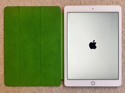 Apple iPad Air 2 - 9.7", 16 GB, Reset, Wi-Fi Only - Gold, Bundled w. Green Cover - Image 1 of 4