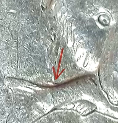 2008 P Alaska State Quarter “Extra Fin” Mutated fish Error Coin - Image 1 of 4