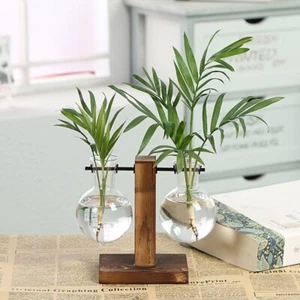 vase hydroponic wooden frame creative glass plant transparent flower vases pot - Picture 1 of 5