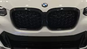 BMW OEM 2022+ X4 G02 Front Gloss Black Shadow-line Grille Brand New - Picture 1 of 1