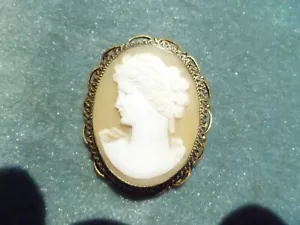 Vintage Carved Shell Cameo Pin / Pendant - Picture 1 of 5