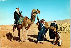 Camel Drivers, Lebanon Postcard - Picture 1 of 2