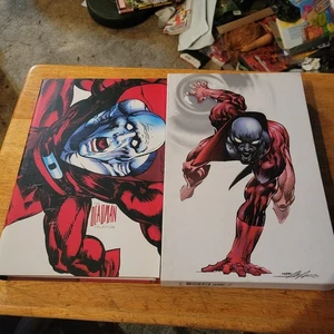 THE DEADMAN COLLECTION, NEAL ADAMS copertina rigida slipcover - Foto 1 di 6