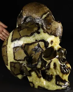 15.7" Titan 80.6LB Dragon Septarian Stone Super Realistic Skull Sculpture - Picture 1 of 16