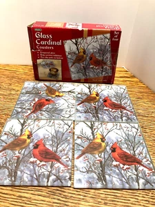 Red Cardinal COASTERS Tempered Glass 4"X 4" Non Skid Feet Set of (4) BIRDS - Picture 1 of 4