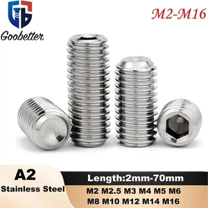 M2 M2.5 - M16 Hexagon Socket Concave Grub Screws 304 Stainless steel Set Screw - Picture 1 of 152