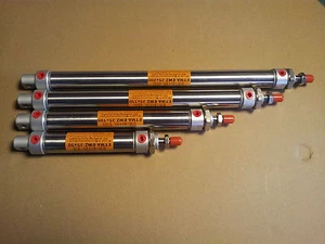 einfach wirkenender Luftzylinder Pneumatikzylinder Edelstahl ETMA-EWZ-32x100-sus - Picture 1 of 7
